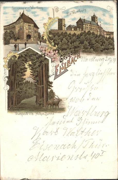 Eisenach Thueringen Wartburg Eingang Hohe Sonne Hirsch