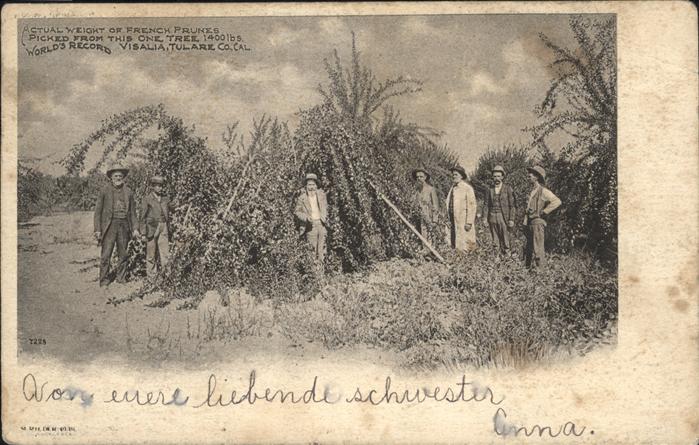 Visalia World Records