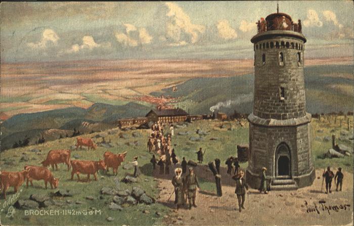 Brocken Harz Brocken Hotel Aussichtsturm Kuh Künstle
