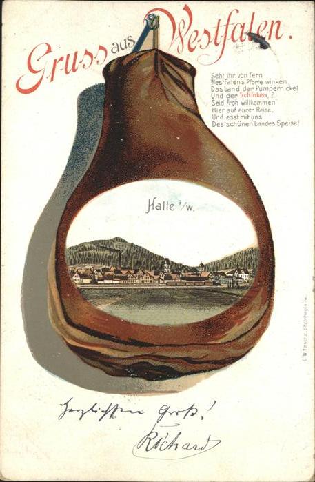 Halle Westfalen Panorama Schinken