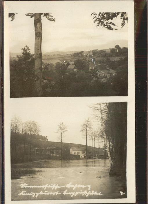 Pirna Elbe Sachsen Panorama ueberschwemmung