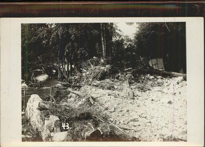 Pirna Elbe Sachsen Sturmschaeden