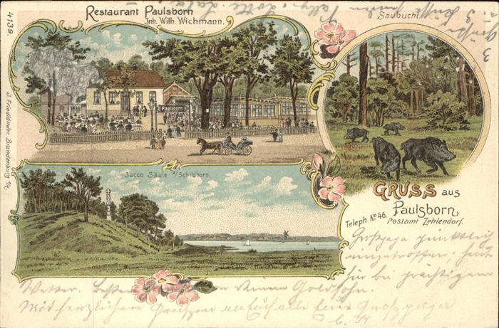 Paulsborn Dahlem Berlin Restaurant Panorama Saeule Schildhorn Wildschwein