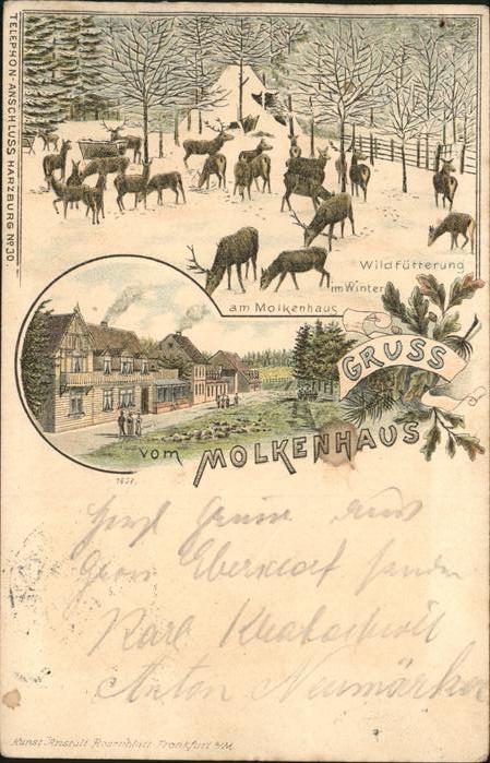 Bad Harzburg Molkenhaus