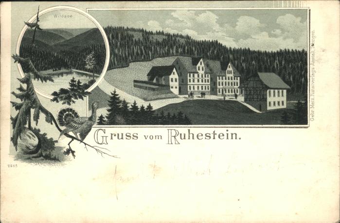 Baiersbronn Schwarzwald Ruhestein Wildsee