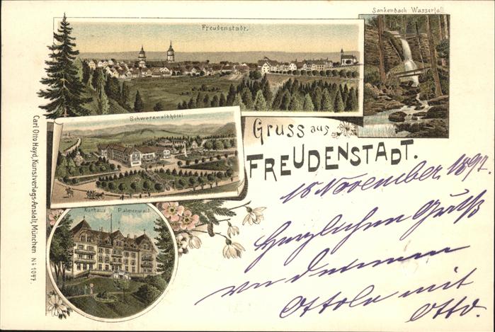 Freudenstadt Kurhaus Palmenwald Schwarzwaldhotel San