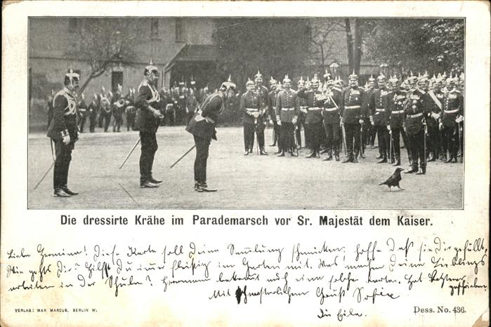 Wilhelm II Kraehe Parademarsch