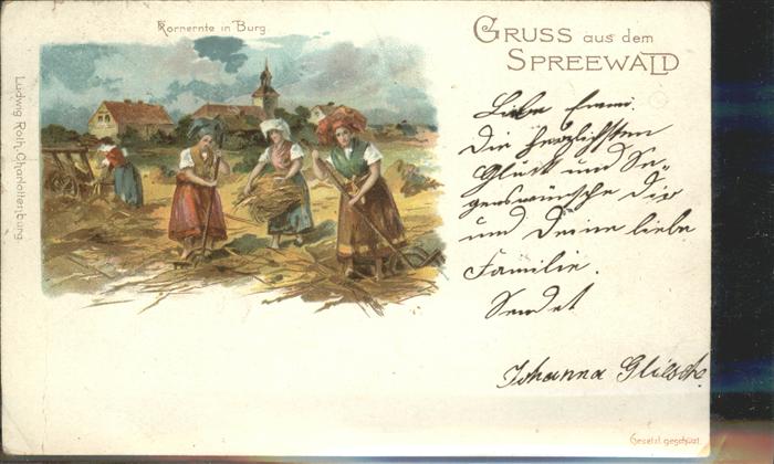 Ernte Landwirtschaft Kornernte Spreewald