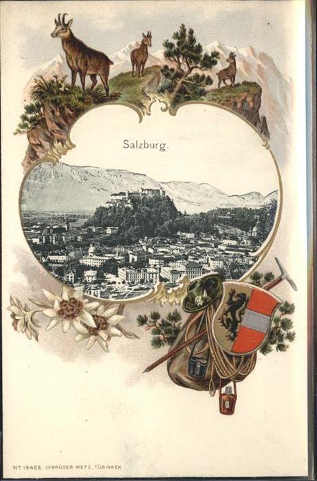 Rucksackkarte Salzburg Wappen Steinbock Edelweiss