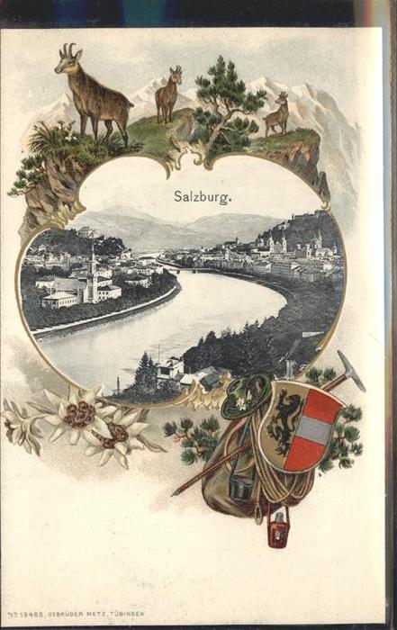 Rucksackkarte Salzburg Steinbock Wappen Edelweiss