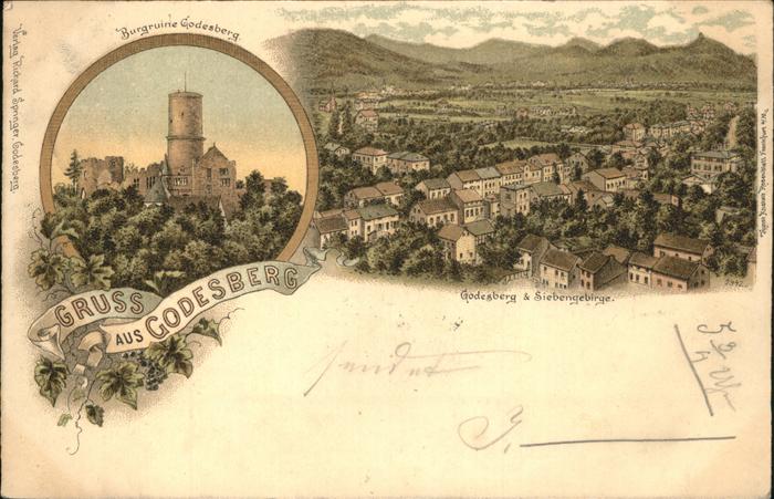 Bad Godesberg Siebengebirge Burgruine