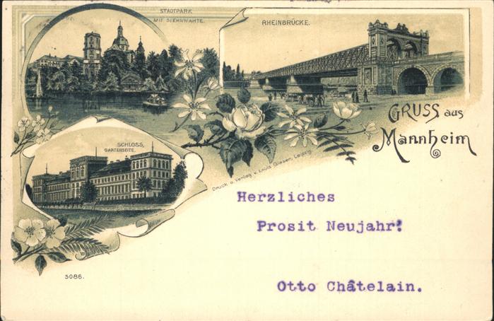 Mannheim Rheinbrücke Stadtpark Schloss