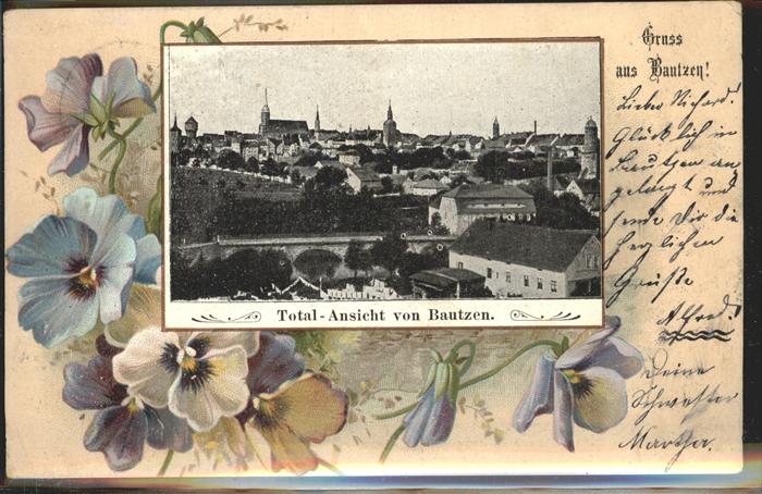 Bautzen Totale Veilchen