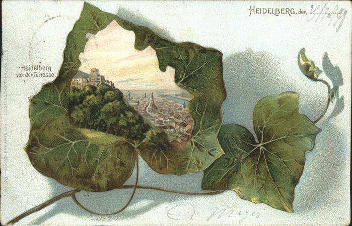 Heidelberg Neckar Terasse Efeublatt