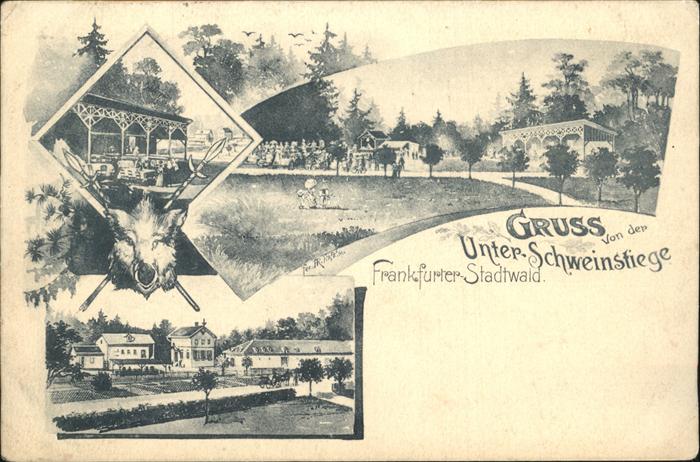 Frankfurt Main Wildschwein Unter Schweinstiege