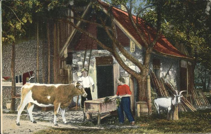Bad Feilnbach Bauern Idylle Kuh Ziege