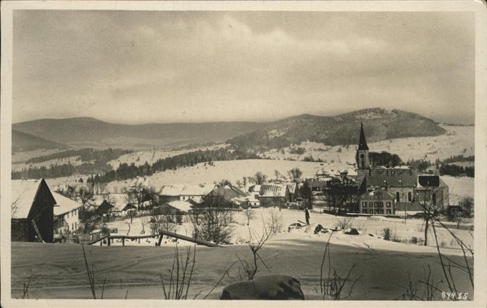 Bischofsreuth Oberpfalz Ortsansicht mit Kirche Winterimpressionen