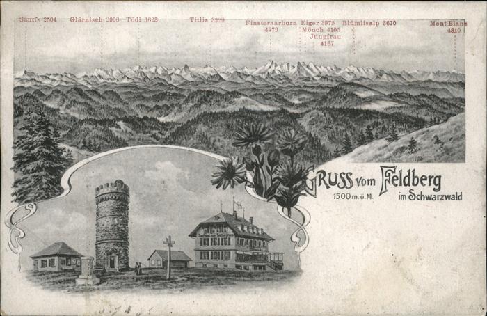 Feldberg Schwarzwald Feldbergturm mit Gasthaus Alpenpanorama