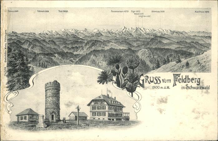 Feldberg Schwarzwald Feldbergturm mit Gasthaus Bismarckdenkm