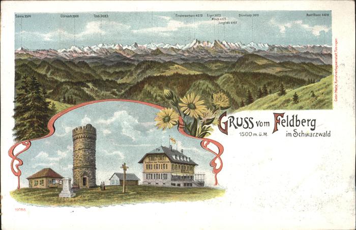 Feldberg Schwarzwald Feldbergturm mit Gasthaus Alpenpanorama