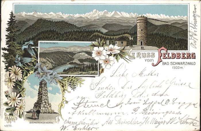 Feldberg Schwarzwald Feldbergturm mit Alpenpanorama Feldsee