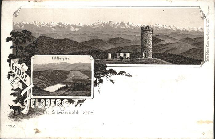 Feldberg Schwarzwald Feldbergturm mit Alpenpanorama Feldsee
