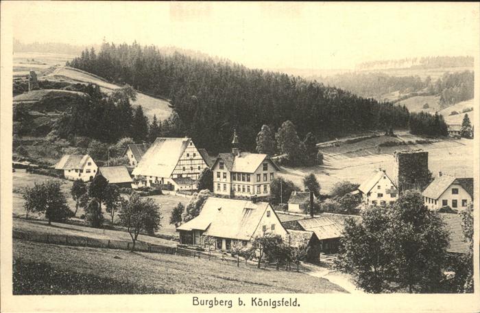 Burgberg Koenigsfeld Teilansicht