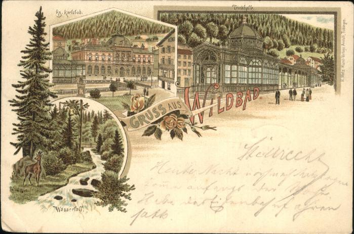 Wildbad Schwarzwald Kg Carlsbad Trinkhalle Wasserfall