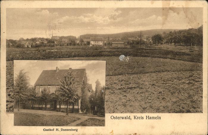 Osterwald Hameln Panorama mit Gasthof Dannenberg