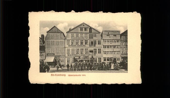 Hamburg Schweinemarkt 1868