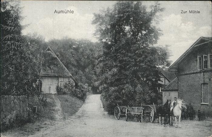 Aumuehle Zur Mühle Pferdefuhrwerk