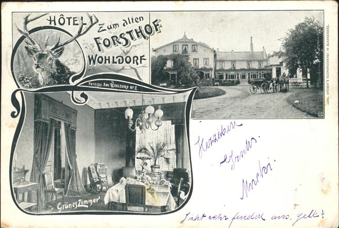 Wohldorf-Ohlstedt Hotel zum alten Forsthof Hirsch Grünes