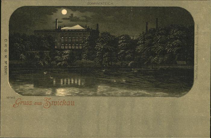 Zwickau Sachsen Schwanenteich Mond Nacht