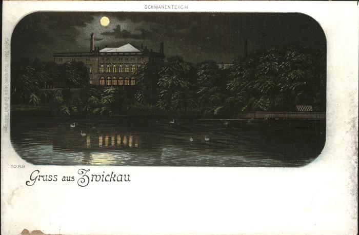 Zwickau Sachsen Mond Nacht Schwanenteich