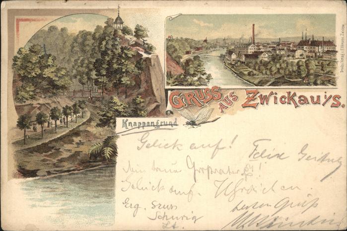 Zwickau Sachsen Knappengrund