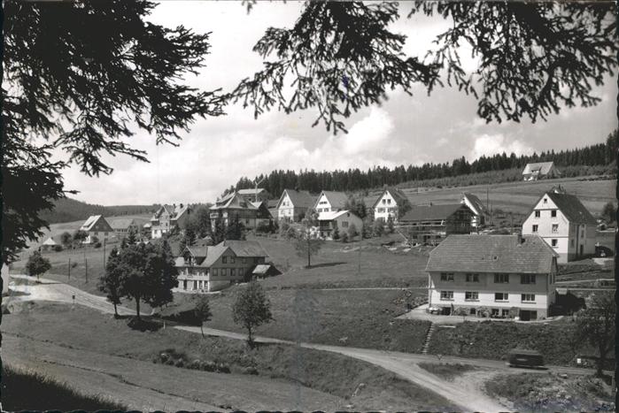 Eisenbach Schwarzwald Wohnhäuser