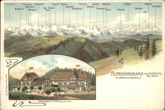 Feldberg Schwarzwald Alpenpanorama Feldberghof