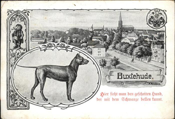 Buxtehude Hund Igel