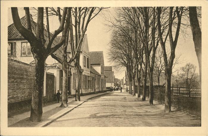 Schleswig Holstein Klosterweg Süd-Holm