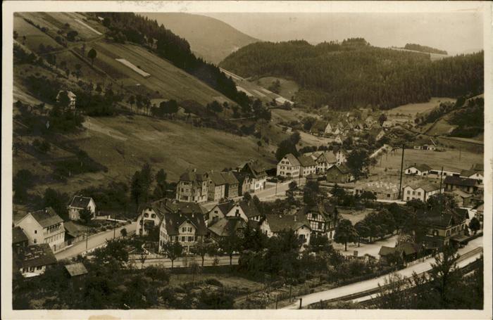 Roetenbach Alpirsbach Fliegeraufnahme