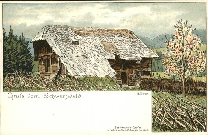 Daur Hermann Schwarzwaldhaus Litho