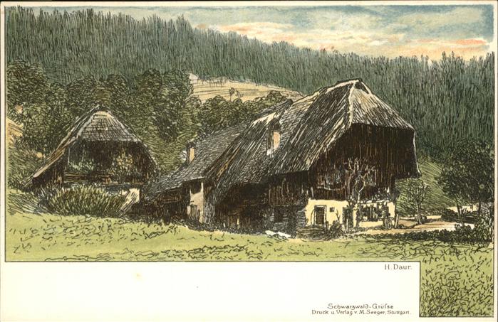 Daur Hermann Schwarzwaldhäuser Litho
