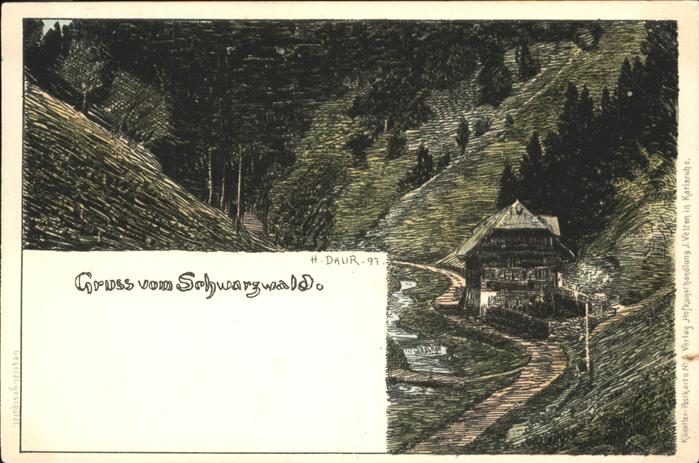 Daur Hermann Nr. 5 Schwarzwaldhaus Litho