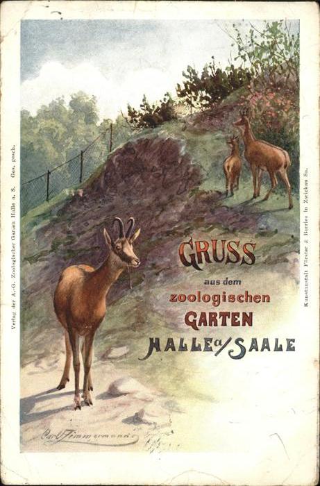 Halle Saale Zoologischer Garten Künstlerkarte