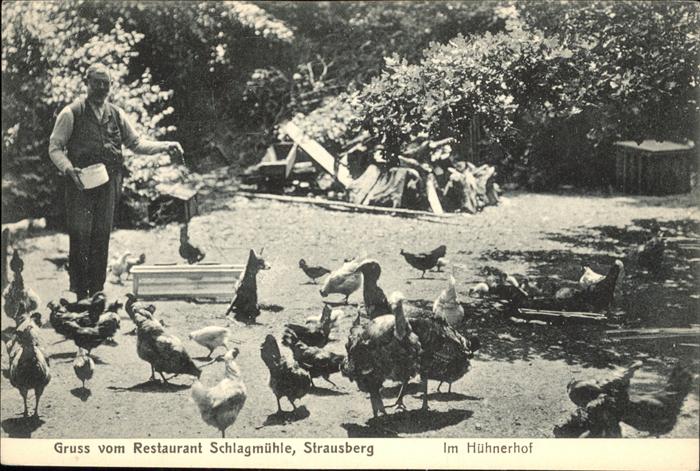 Strausberg Brandenburg Restaurant Schlagmuehle Im Huehnerhof
