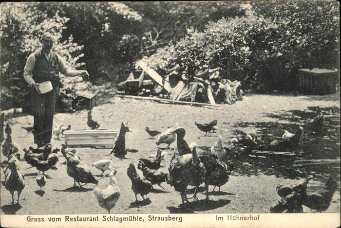 Strausberg Brandenburg Restaurant Schlagmuehle im Huehnerhof