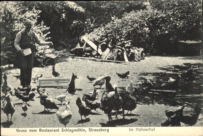 Strausberg Brandenburg Restaurant Schlagmuehle im Huehnerhof