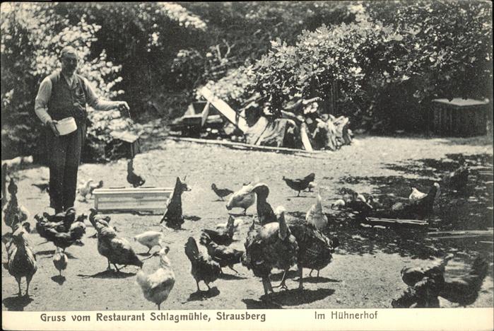Strausberg Brandenburg Restaurant Schlagmuehle im Huehnerhof