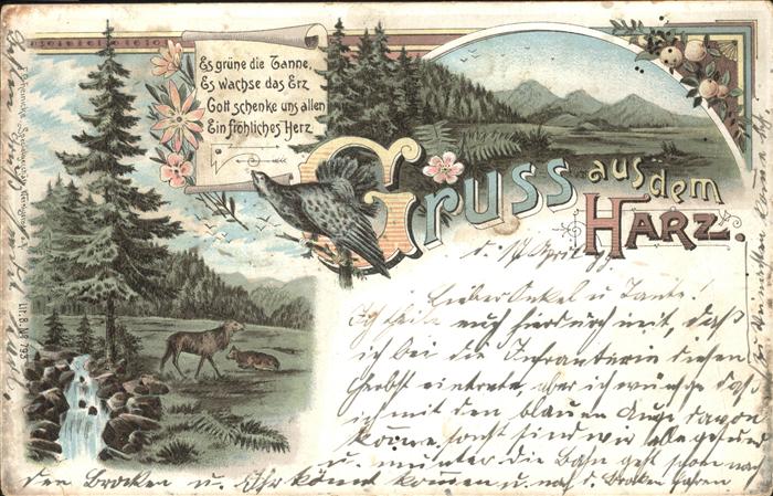 Wernigerode Harz Div.Ansichten aus dem Harz (Waldgebiete