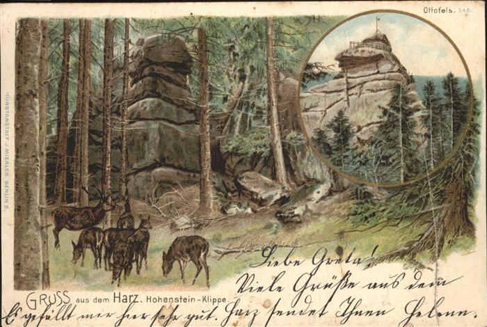 Wernigerode Harz Ottofelsen u.Hohenstein-Klippe mit Rehwild